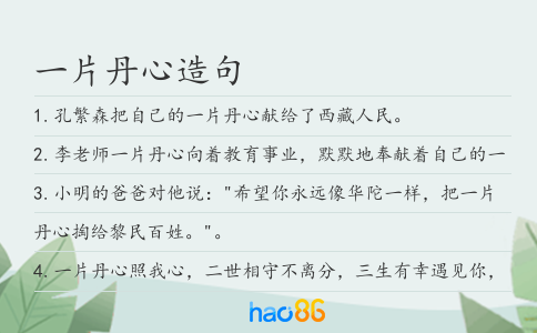 一片丹心造句