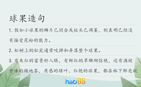 球果造句