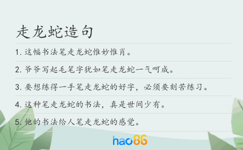 走龙蛇造句
