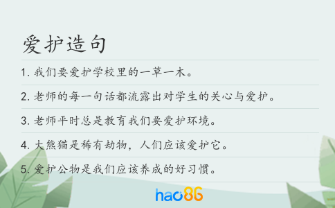 爱护造句