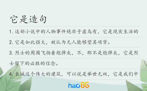 它是造句