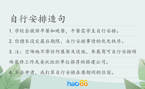 自行安排造句