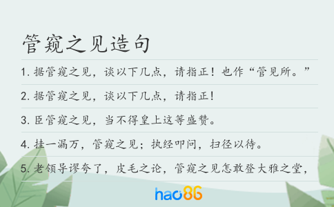 管窥之见造句