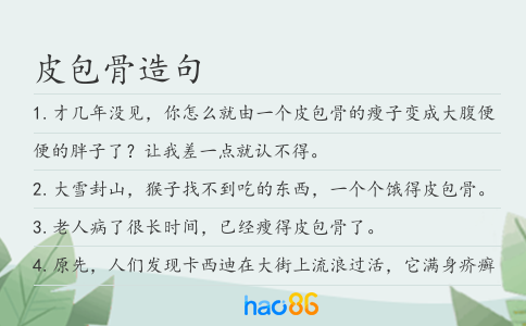 皮包骨造句
