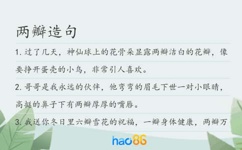 两瓣造句