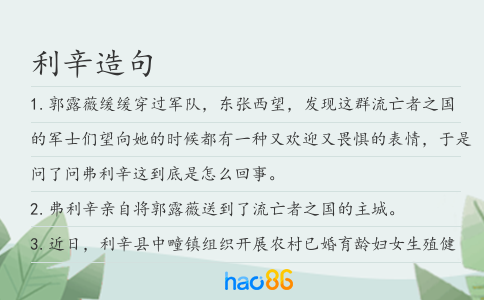 利辛造句