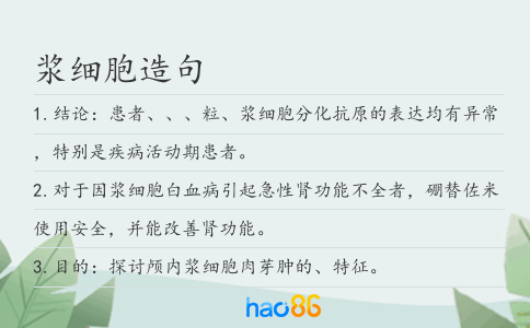 浆细胞造句