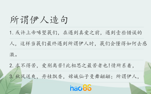 所谓伊人造句