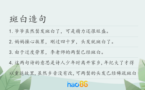 斑白造句