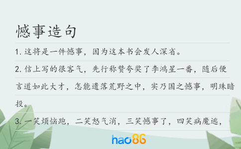 憾事造句