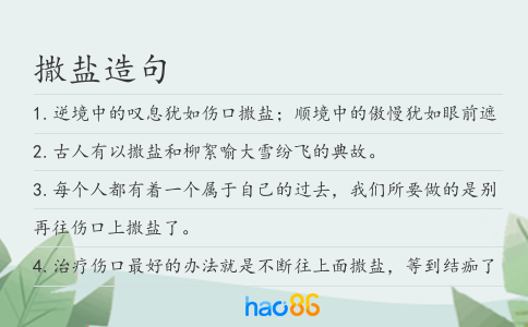 撒盐造句