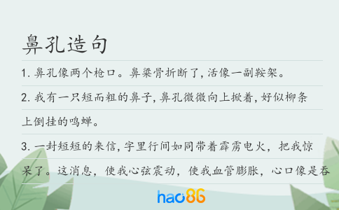 鼻孔造句