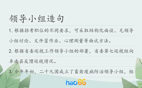 领导小组造句