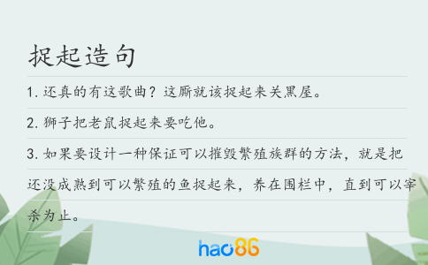 捉起造句