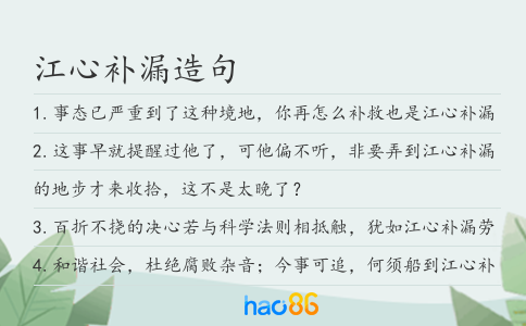 江心补漏造句