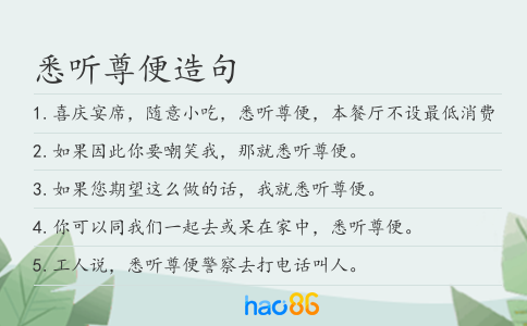 悉听尊便造句