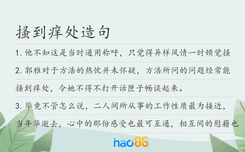 搔到痒处造句