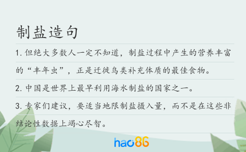 制盐造句