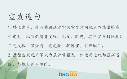 宣发造句