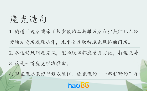 庞克造句
