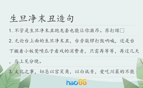 生旦净末丑造句