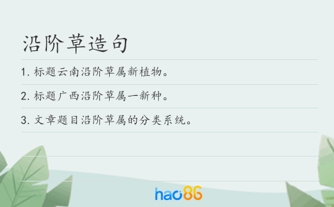 沿阶草造句