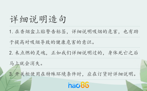 详细说明造句