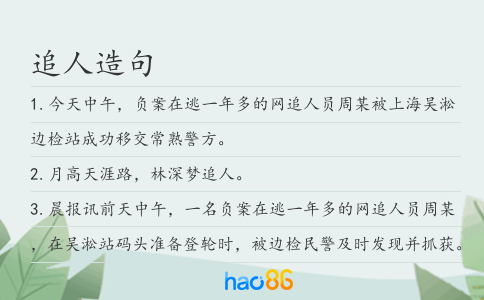 追人造句