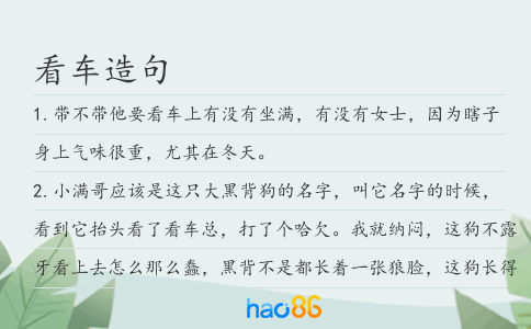 看车造句