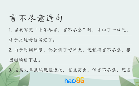 言不尽意造句