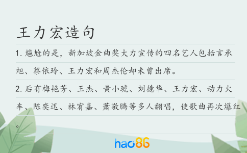 王力宏造句