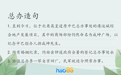 总办造句
