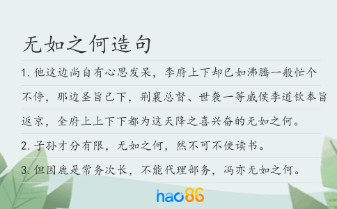 无如之何造句
