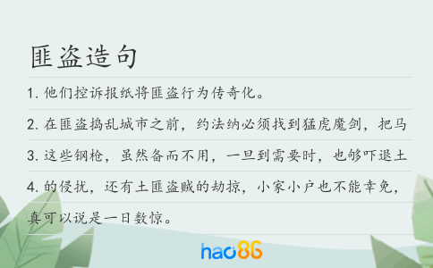 匪盗造句