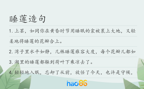 睡莲造句