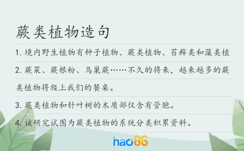 蕨类植物造句