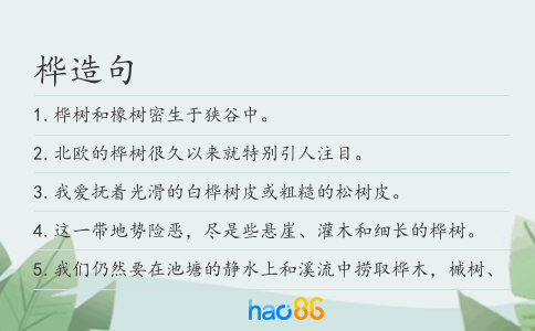 桦造句