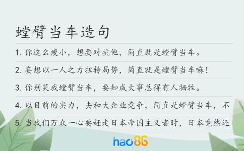 螳臂当车造句
