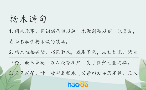 杨木造句