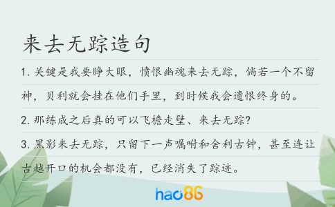 来去无踪造句
