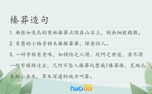 榛莽造句