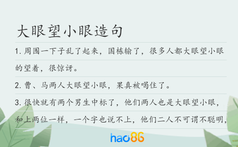 大眼望小眼造句