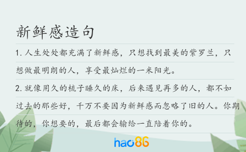 新鲜感造句