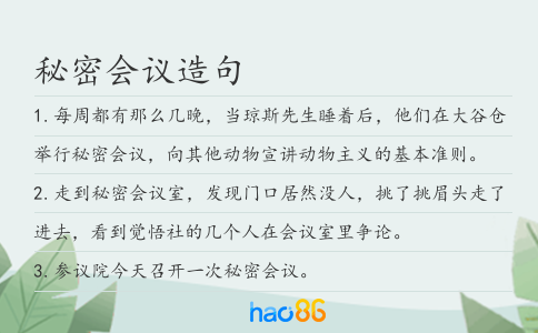 秘密会议造句