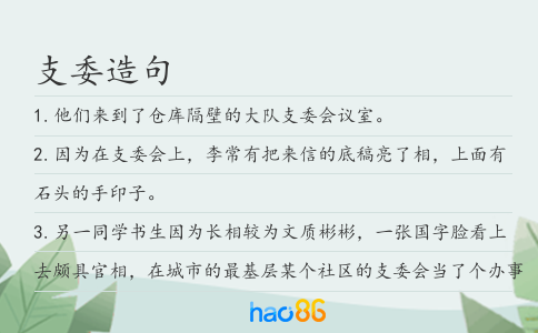 支委造句