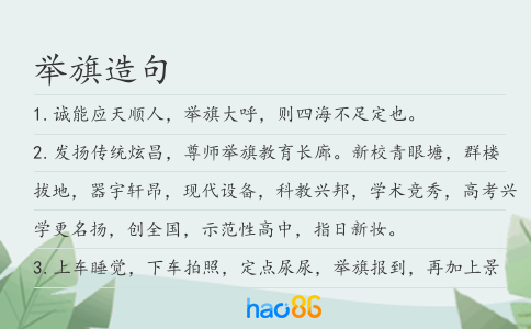 举旗造句