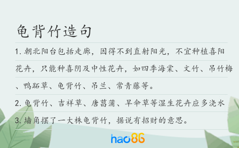 龟背竹造句