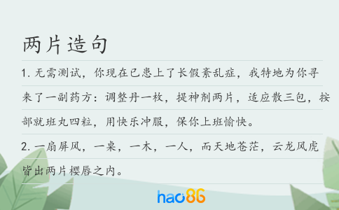 两片造句