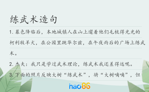 练武术造句