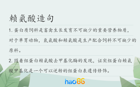 赖氨酸造句
